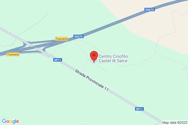 Centro Cinofilo Castel di Salce