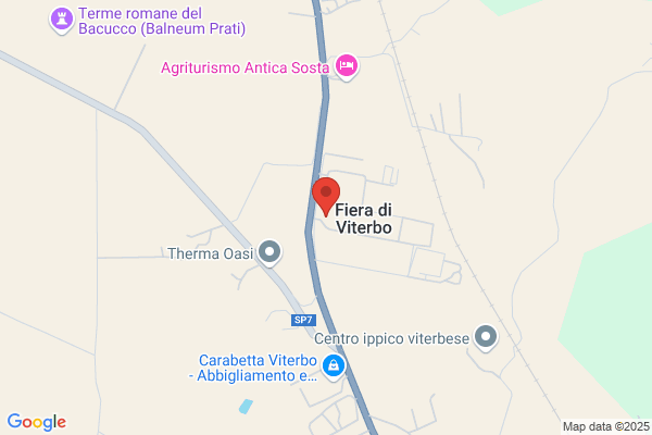Fiera Di Viterbo (S.R.L.)