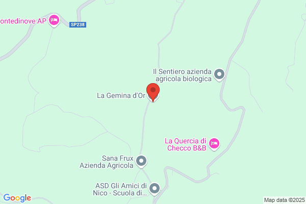 O.R.R.A. Di Gemini C. E G. Sdf