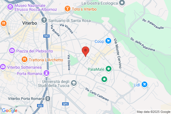 Sanpaolo Imi S.P.A.