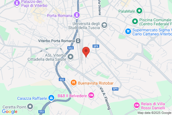 Trasporti Edili Vestri