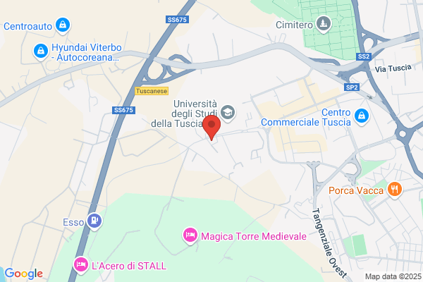 Asi Pallacanestro Virtus Viterbo