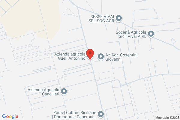 Gueli Cesare S.R.L.