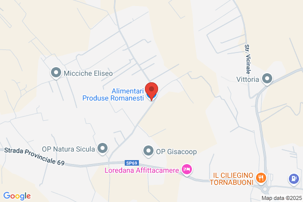 Pronesti Natalina Alimentari