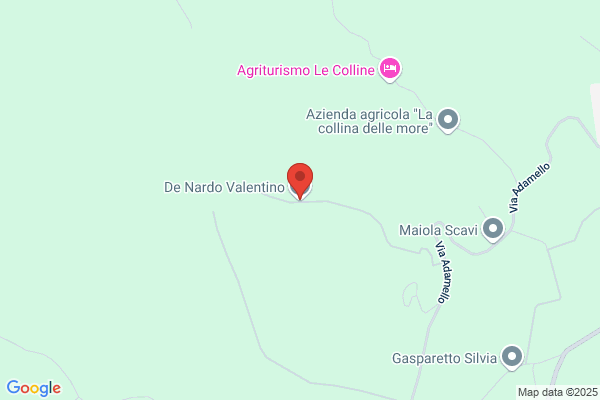 Nardo fulvio