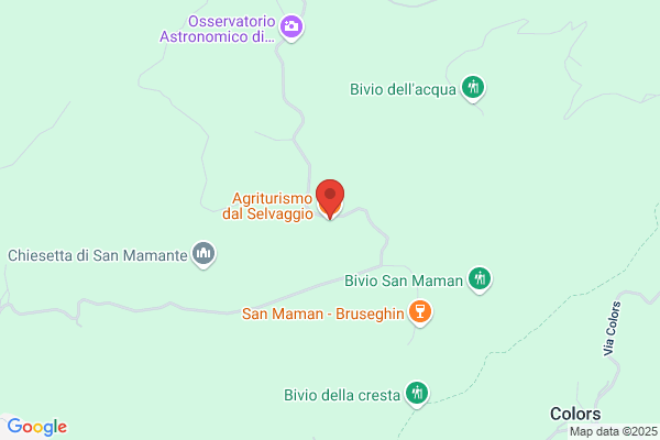 Agriturismo dal Selvaggio