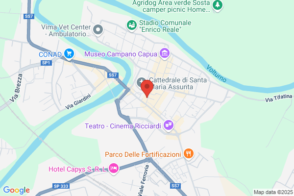 Farmacia Apostolico Dr. F.