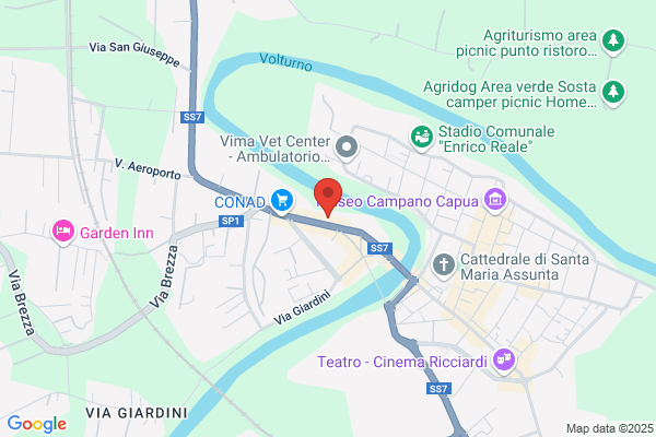 Speedy Rental Car - Noleggio auto