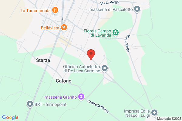Trattoria Pizzeria Alessio