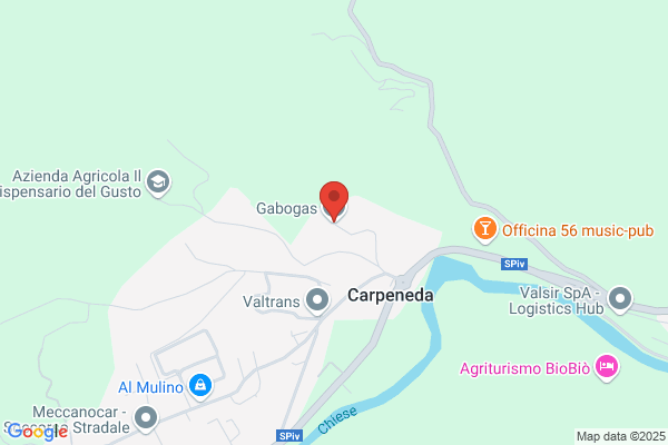Gabogas (S.P.A.)
