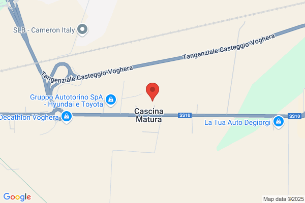 Carrozzeria Torino