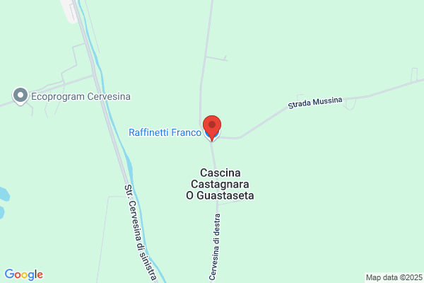 Raffinetti luciano