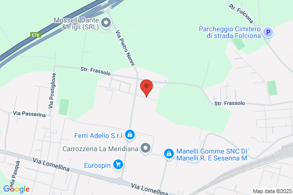 Industria Vogherese Budella E Affini Di Croce Emilio