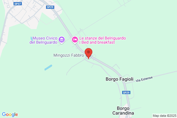 Mingozzi mauro