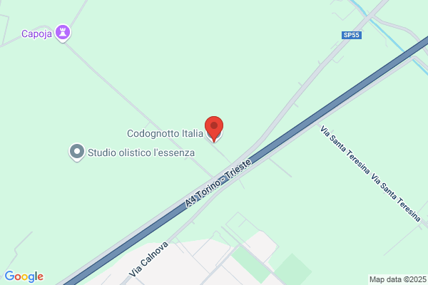 Codognotto