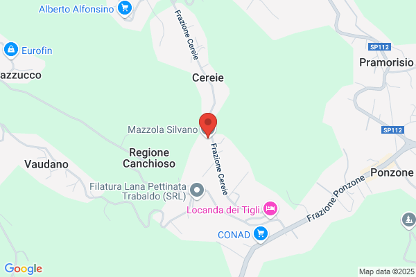 F.Lli Torasso S.A.S. - Officina Meccanica Di Torasso Silvano f c.