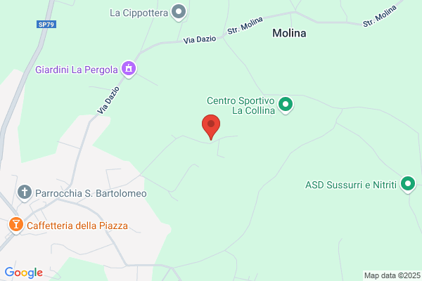 Milanese pierfranco (Geom.)