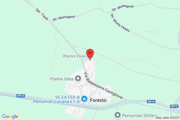 Porrini elvio