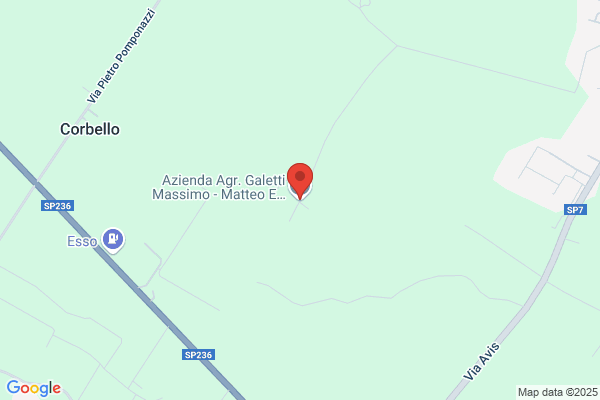 Galetti Massimo