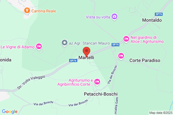 Martelli adelelmo