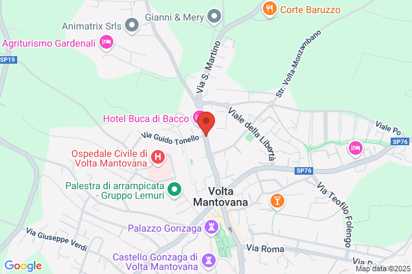 Trans Voltese Express (S.N.C.)