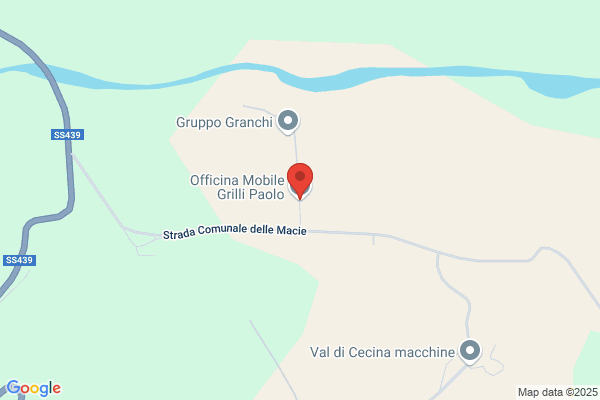Grilli Paolo