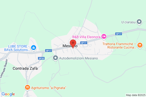 Revisioni Garisto Carmelo