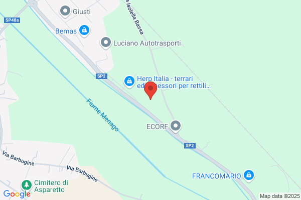 Etty Mancini Srl