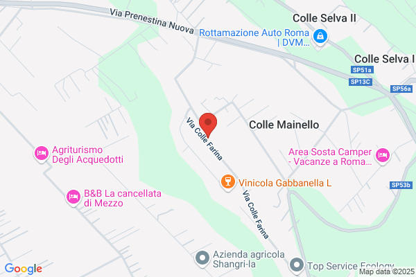 Roma Gru Srls