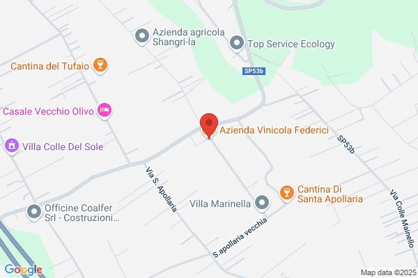 Azienda Vinicola Federici