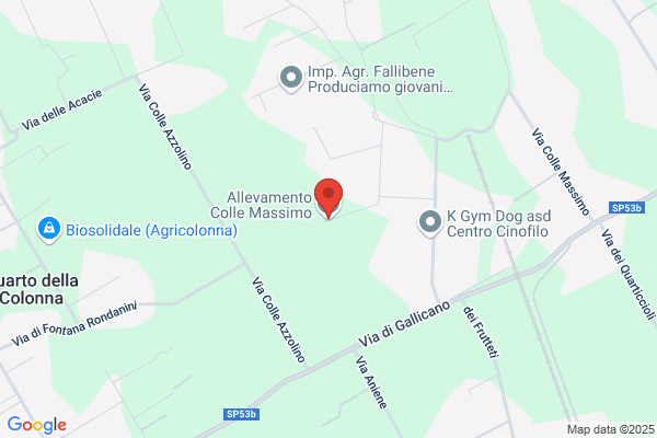 Allevamento Colle Massimo
