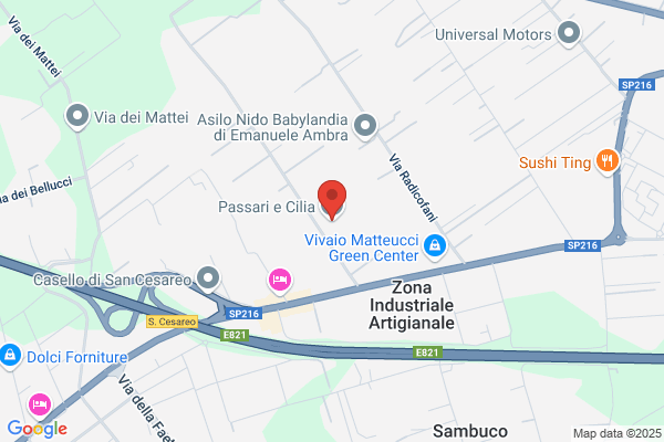 Passari alessandro