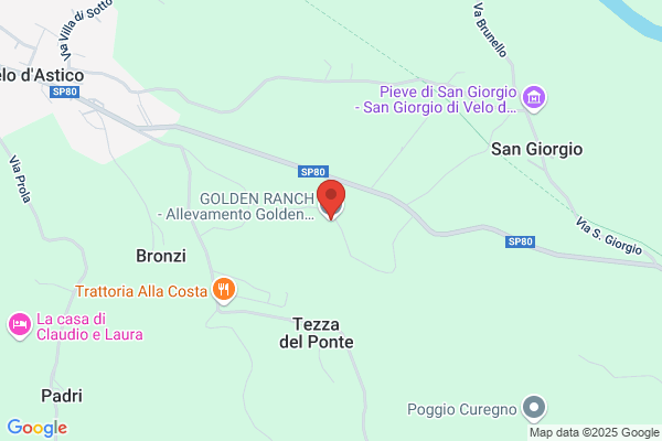 Allevamento Golden Ranch