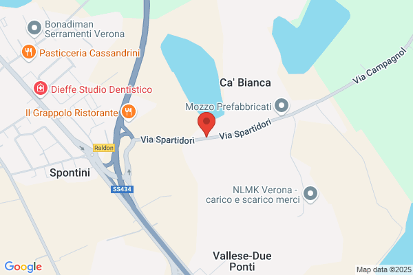Sandrini carlo