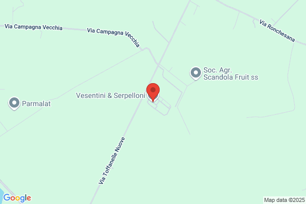 Vesentini sante