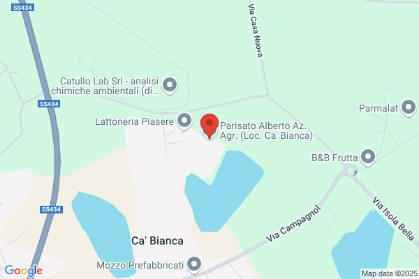 Perozzi rosalba