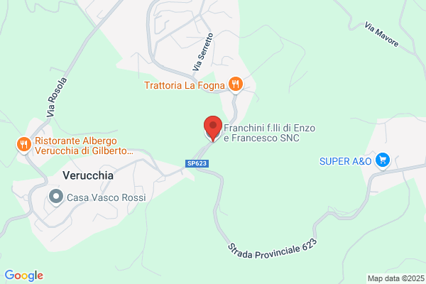 Franchini F.Lli Di Enzo E Francesco S.N.C.