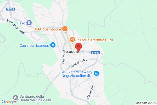 Matteuzzi adriano