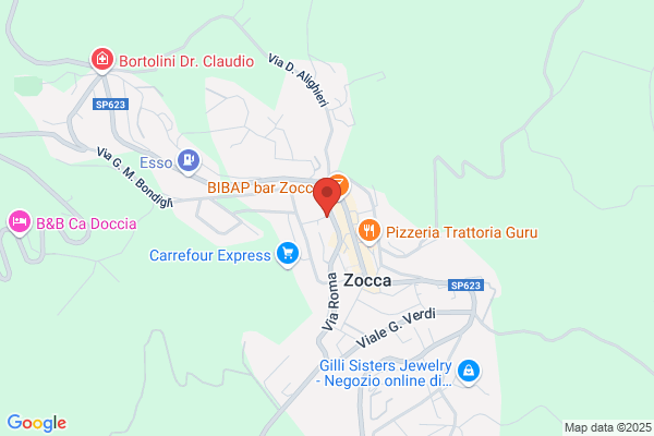 Partito Democratico Della Sinistra