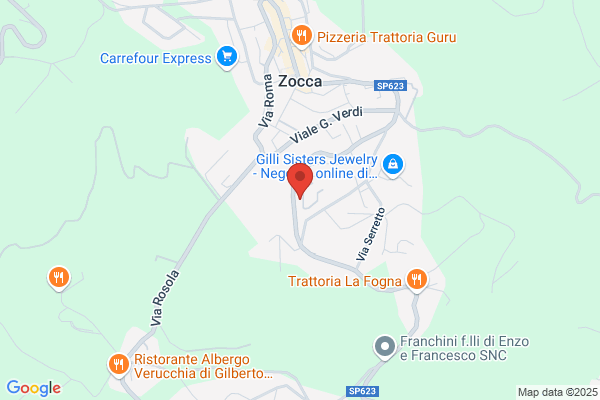 Tarozzi giuseppina