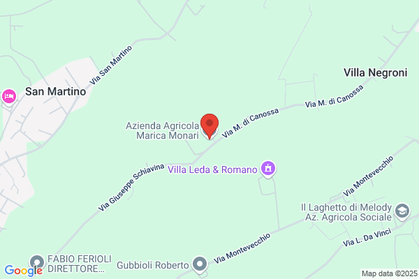 Monari gian Luca