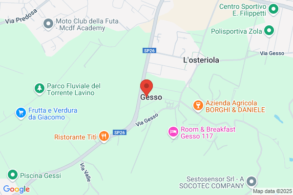 Foraboschi Franco (Prof.)
