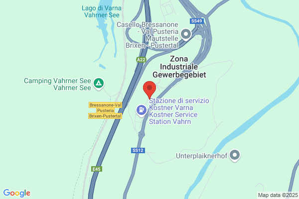 Die Meistermaler Heidegger e Holzmann
