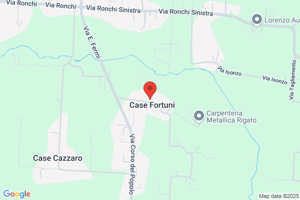 Fortunio Di G. Boraine & C. S.A.S.