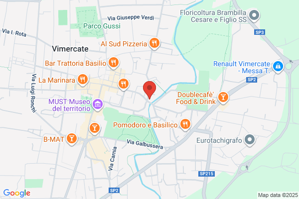 Assistenza Anziani Vimercate
