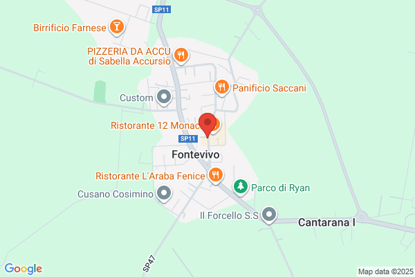 PAninArt