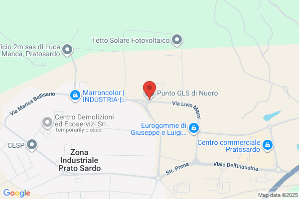 Sicurtrasporti Srl