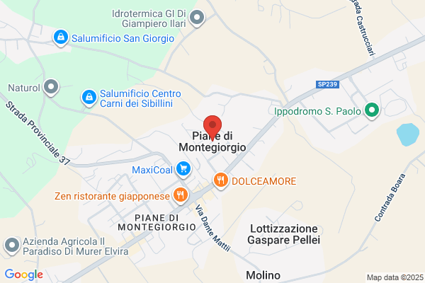 Ambulatorio Veterinario Dr. Marino Virgili e Dr. Paolo Papadantonakis