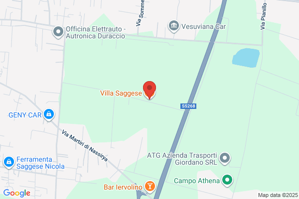 Saggese anna